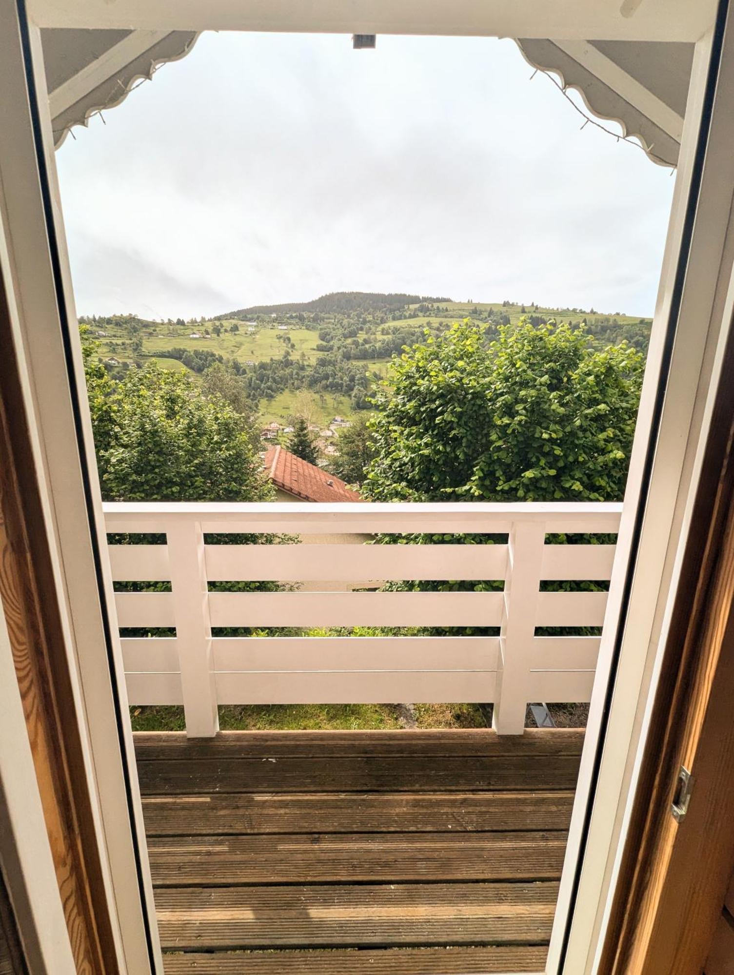 Chalet Sauna Jacuzzi 6 Personnes La Bresse Kültér fotó